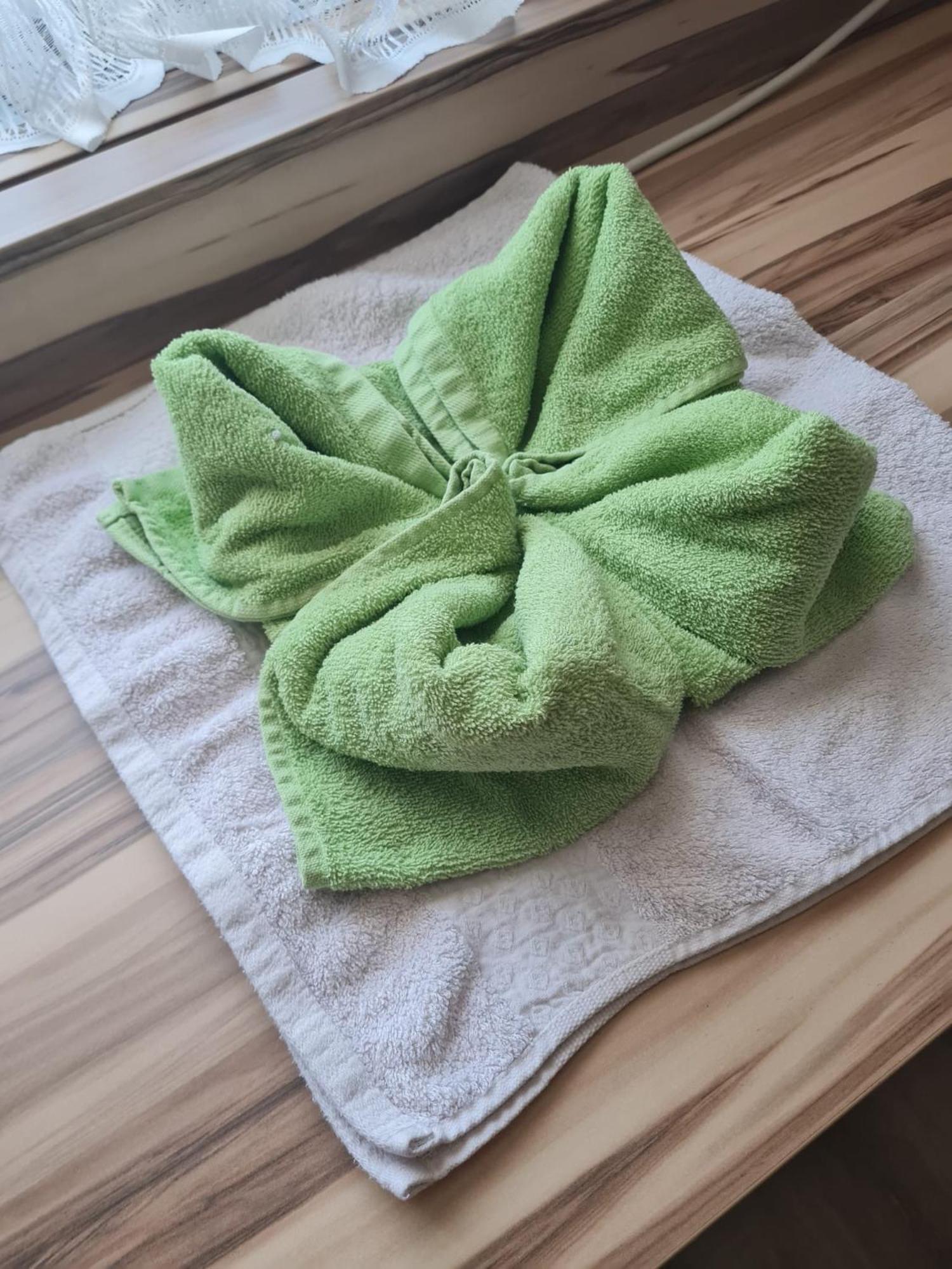 "Am Limes" Hotel Enns Εξωτερικό φωτογραφία